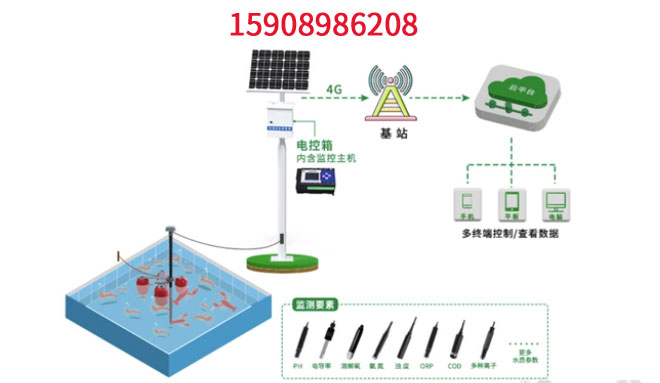 1668667210945013.jpg yang.jpg